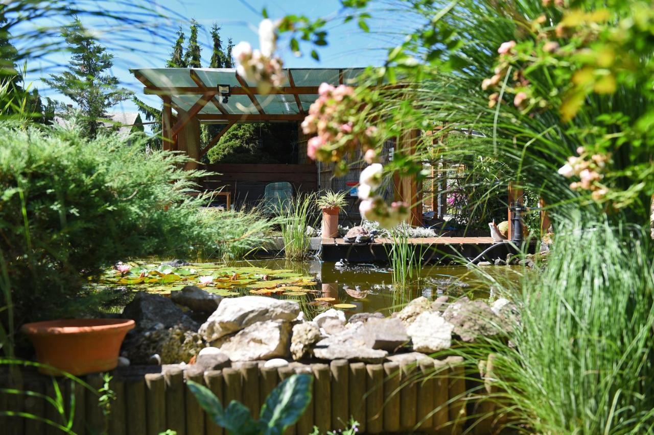 Bed and Breakfast Anna Panzio Herend Экстерьер фото